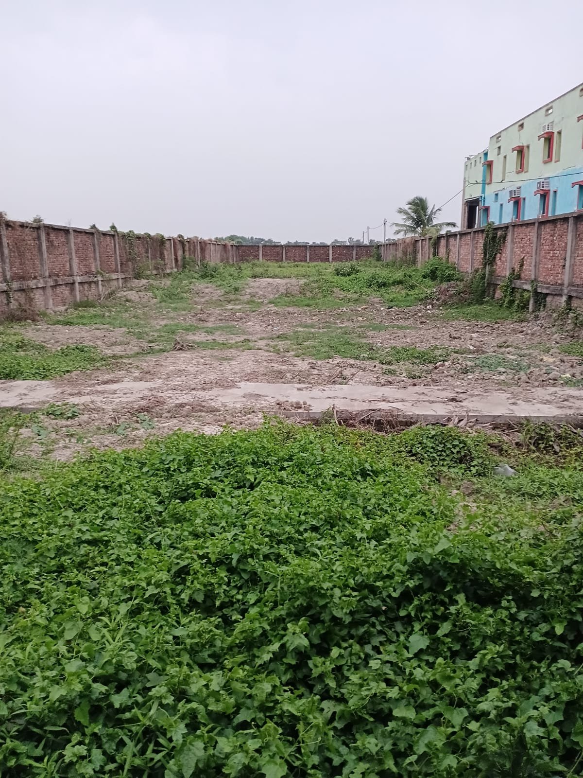 Bakkhali Property Image